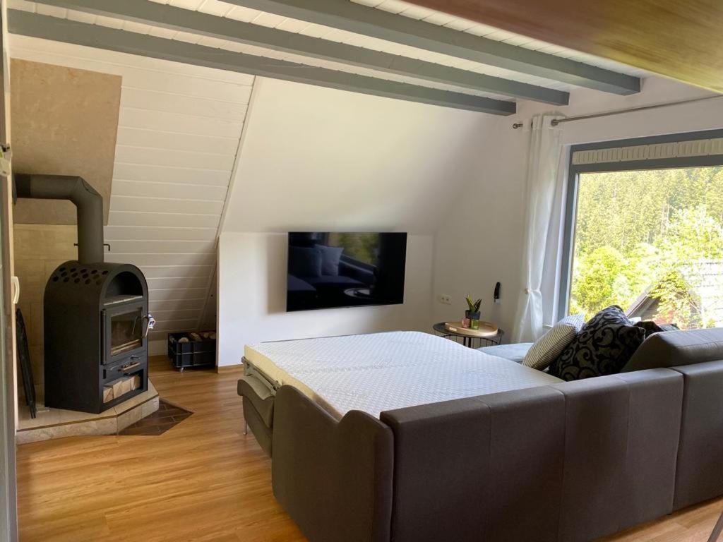 Haus Adler - Komplettes Ferienhaus Am Badesee Erzgrube Buitenkant foto