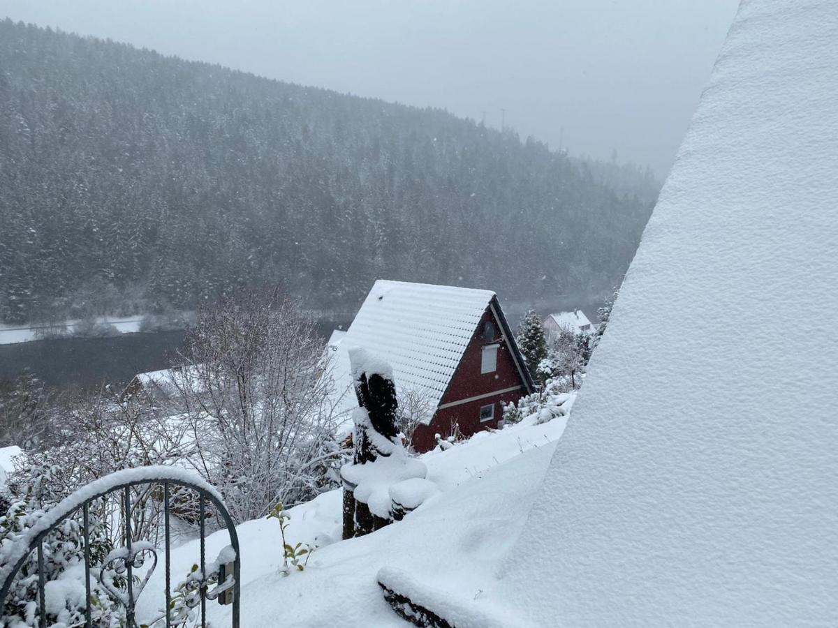 Haus Adler - Komplettes Ferienhaus Am Badesee Erzgrube Buitenkant foto