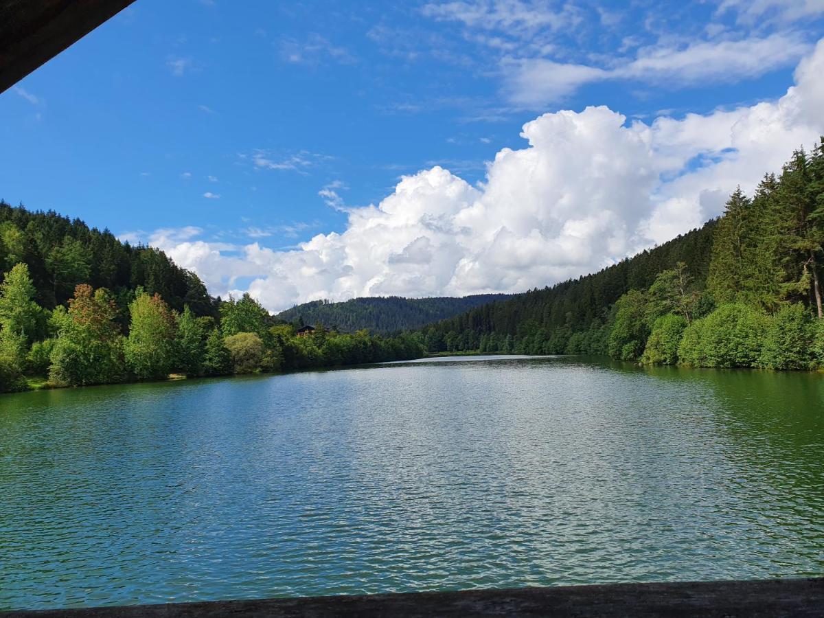 Haus Adler - Komplettes Ferienhaus Am Badesee Erzgrube Buitenkant foto