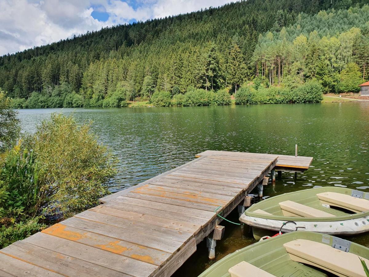Haus Adler - Komplettes Ferienhaus Am Badesee Erzgrube Buitenkant foto